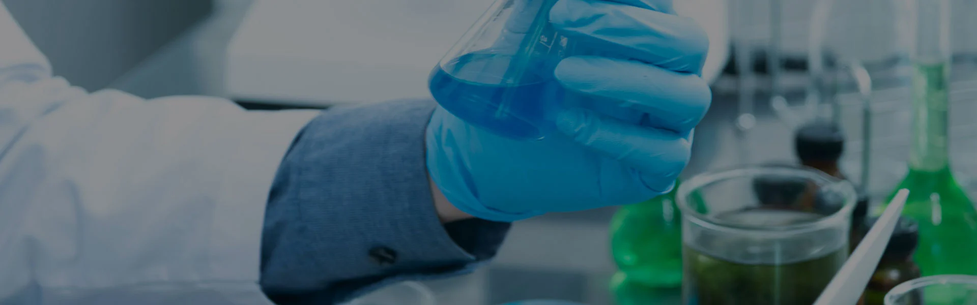 Solicitar una cotización